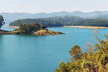 Travel to ooty in comfort with the best taxi services for a smooth and hassle-free journey.