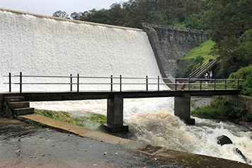 Premier travel packages for breathtaking sightseeing in ooty's lush scenic hill landscapes.