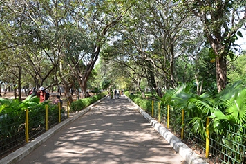 Best taxi service for a hassle-free trip to Guindy Park, perfect for nature lovers.