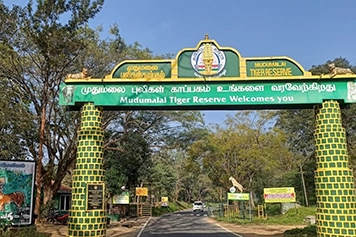 Taxi services for mudumalai wildlife sanctuary tours at best prices for free travel experience