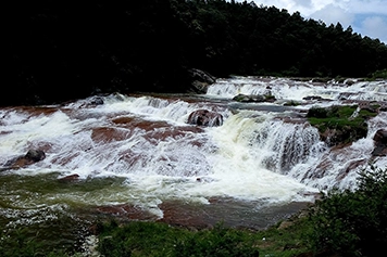 Pykara lake taxi tours in ooty for a smooth and scenic travel experience at the best prices