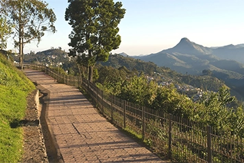 Book Local Cab to Coaker's Walk Kodaikanal for Vacation Trip Hire a van or cab to Coaker's Walk Kodaikanal for a scenic, comfortable, and hassle-free trip.
