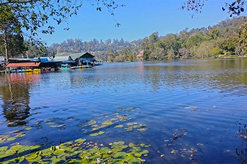 Online Car Booking to Kodai Lake from Coimbatore Book a taxi or cab to Kodai Lake for a scenic, comfortable, and hassle-free travel experience.