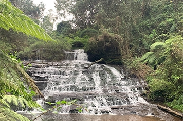 Best Taxi Service to Vattakkal Waterfalls for a Scenic Trip Hire a taxi to Vattakkal Waterfalls for a refreshing, adventurous, & hassle-free journey.