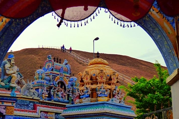 Hire a taxi or cab to Samanar Hills for a smooth, and easy travel experience with skilled drivers.