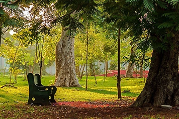 Easy Online Taxi Booking for Botanical Park Travel Easy online taxi booking for round trips to visit the beautiful Botanical Park in Pondicherry.