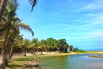 Book a Taxi or Cab Online for a Visit to Paradise Beach Plan your visit to Paradise Beach with easy online taxi booking for outstation trips.
