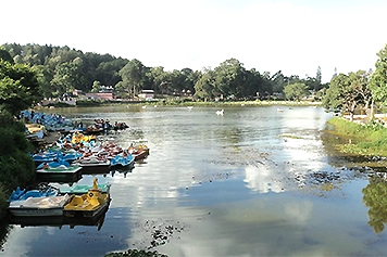 Book a Cab Online to Visit the Scenic Yercaud Lake Book a cab online to Yercaud Lake for outstation travel with smooth cab booking options.