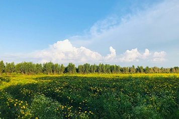 Explore Thally Little England - Taxi & Cab Rentals Explore Thally Little England - A serene getaway with taxi, cab, and travel options for a memorable trip.