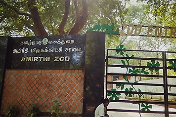 Visit Amirthi Zoological Park with Cab & Taxi Services Explore Amirthi Zoological Park with convenient taxi and cab services for a smooth trip experience.