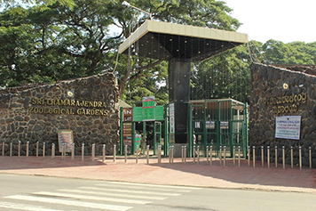 Book Trusted Local Cab Services From Chennai to Mysore Book local cab services to explore Mysore Zoo comfortably with safe rides and affordable fares.