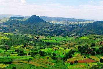 Best Chennai to Arakku Valley Car Taxi Rental Services Affordable and safe car taxi rental services from Chennai to the scenic Arakku Valley region