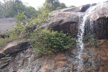 Book an outstation taxi from Chennai to Jalagamparai Falls for a scenic & relaxing travel experience