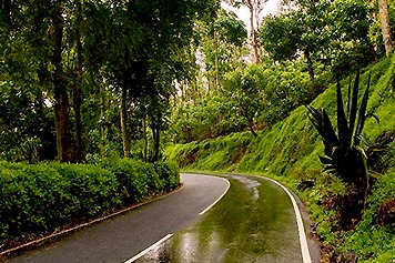 Scenic Loop Road Drive with Comfortable Car or Taxi Services Enjoy a scenic loop road drive with reliable and comfortable car or taxi services for your journey