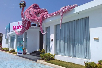 Book a Taxi from Chennai to Visit Sea Shell Museum Book a cab from Chennai to visit the Sea Shell Museum and nearby Mahabalipuram sites.