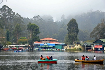 Enjoy a smooth Chennai to Kodaikanal ride and explore the serene beauty of Kodai Lake with ease.