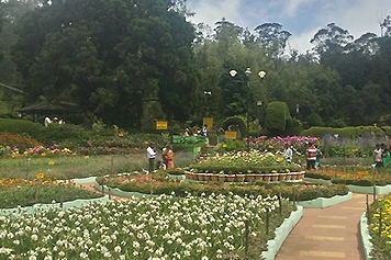 Book Van For a Floral Visit to Bryant Park in Kodaikanal Travel with ease to Bryant Park using our safe taxi, car, bus or tempo services from Madurai
