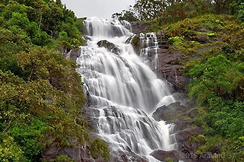 Book Van or Car to Explore Chinnakanal Waterfalls Easily Book a van or car for a smooth and easy trip to the scenic Chinnakanal Waterfalls from Palani.