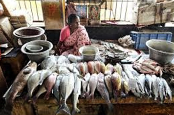 Local Cab Booking to Velankanni Local Markets Make a shopping trip to Velankanni markets with local cab ride at your convenience