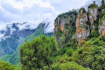 Book a Chennai to Kodaikanal cab for a scenic ride to Pillar Rocks and enjoy breathtaking valley views.