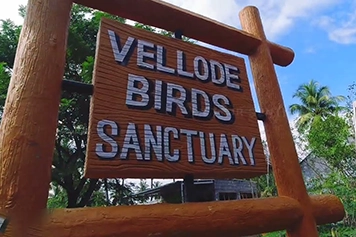 Book an Online Cab For Sightseeing at Vellode Bird Sanctuary Book a secure and comfortable online cab for a sightseeing trip to Vellode Bird Sanctuary