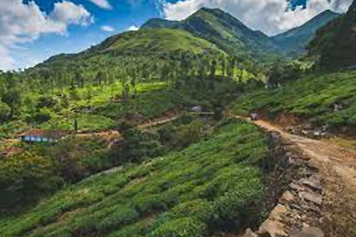 Take a One-Way Trip to Hosur Hill Station With Online Taxi Enjoy a smooth one-way trip to Hosur Hill Station with an easy online taxi or cab booking