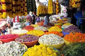 Visit Hosur Market With Local Taxi Booking For Easy Access Take an online booking local taxi to Hosur Market for a convenient and enjoyable shopping experience