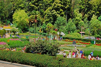 Visit Bryant Park from Trichy with Comfortable Car Hire Hire a car online for a peaceful and scenic trip to Bryant Park in Kodaikanal with comfort.
