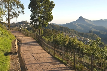 Book a Cab to Dolphin’s Nose for a Scenic Kodaikanal Trip Ride safely from Trichy to Dolphin’s Nose with online cab booking for scenic views and comfort.