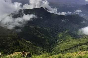 Discover Silent Valley Viewpoint Booking a Tempo Traveller Book a tempo traveller online for group travel to Silent Valley Viewpoint, Kodaikanal hills, scenic views.