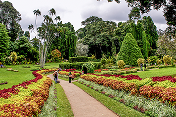 Enjoy Botanical Garden Sightseeing With Online Taxi Booking Customer books a taxi online for a smooth and enjoyable Botanical Garden sightseeing trip