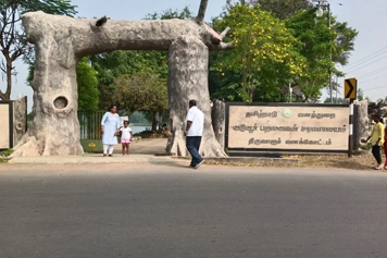 Vaduvur Bird Sanctuary Visit with Taxi Rental from Trichy Book a taxi rental from Trichy to explore the Vaduvur Bird Sanctuary on your Velankanni trip