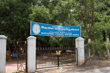 Visit Fossil Wood Park with Online Taxi Booking Services Book a taxi online for a comfortable and safe trip to Fossil Wood Park with friends or family