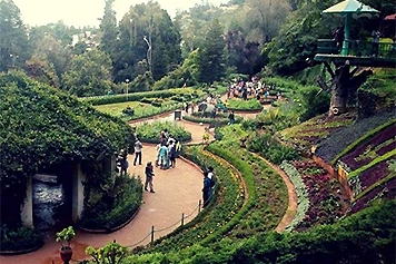 Plan Your Botanical Garden Visit from Trichy by Cab Service Take a secure and affordable taxi and cab ride from Trichy to the Botanical Garden in Yercaud.